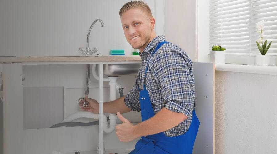 Holiday Plumbing Service in Grosse Ile, MI